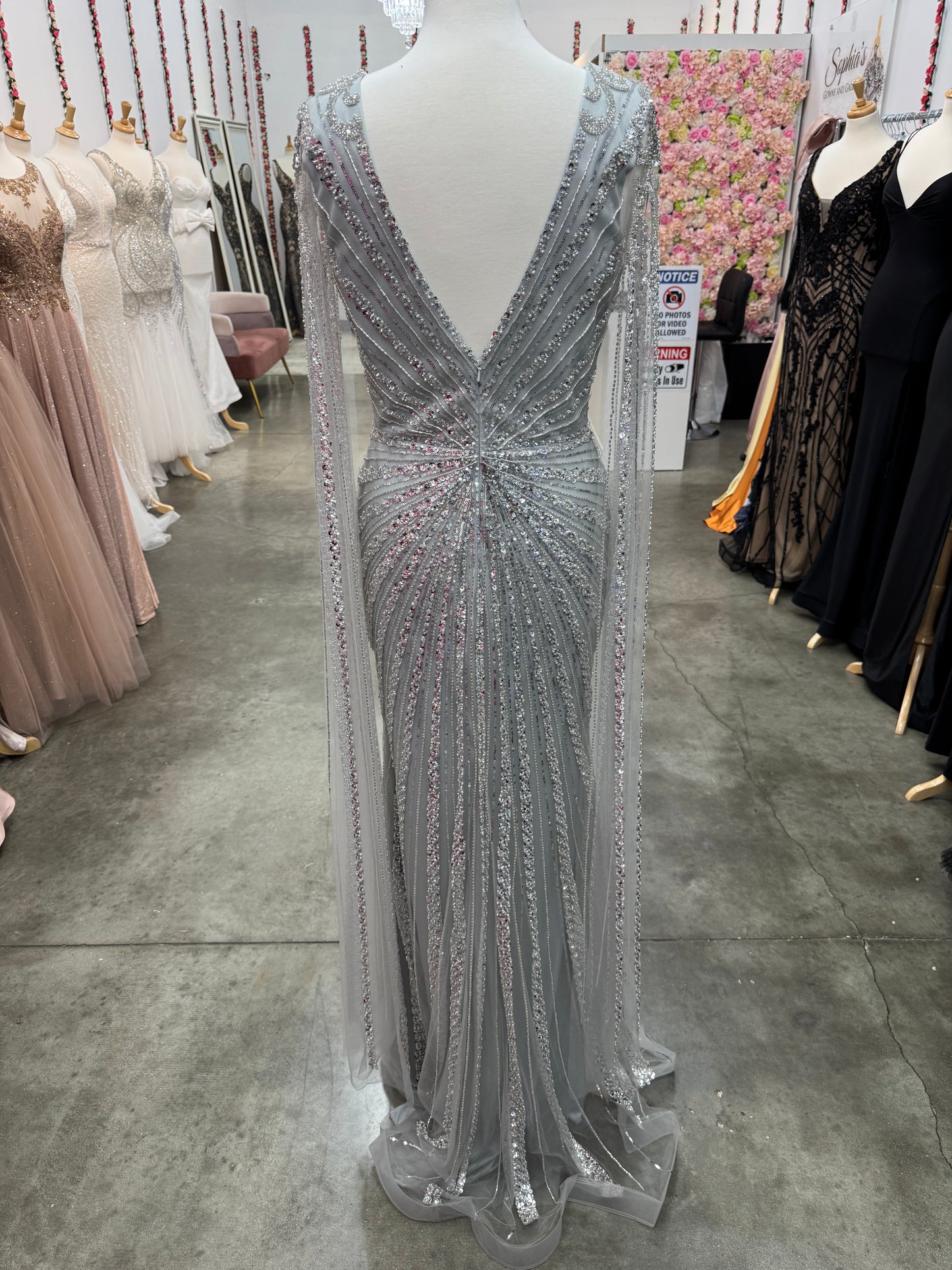 Celia Gown w/ Sleeves
