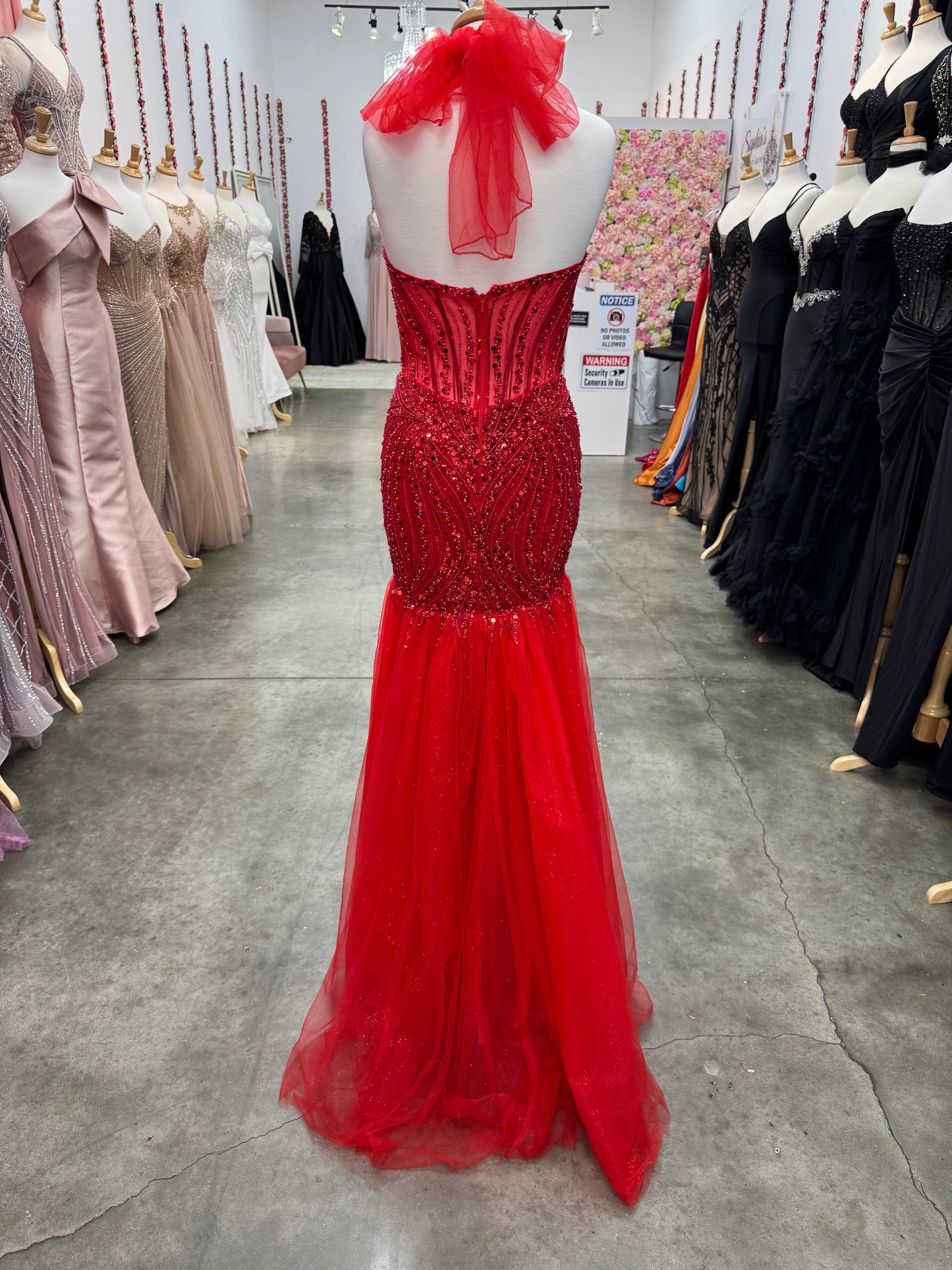Blanca Mermaid Chiffon Dress