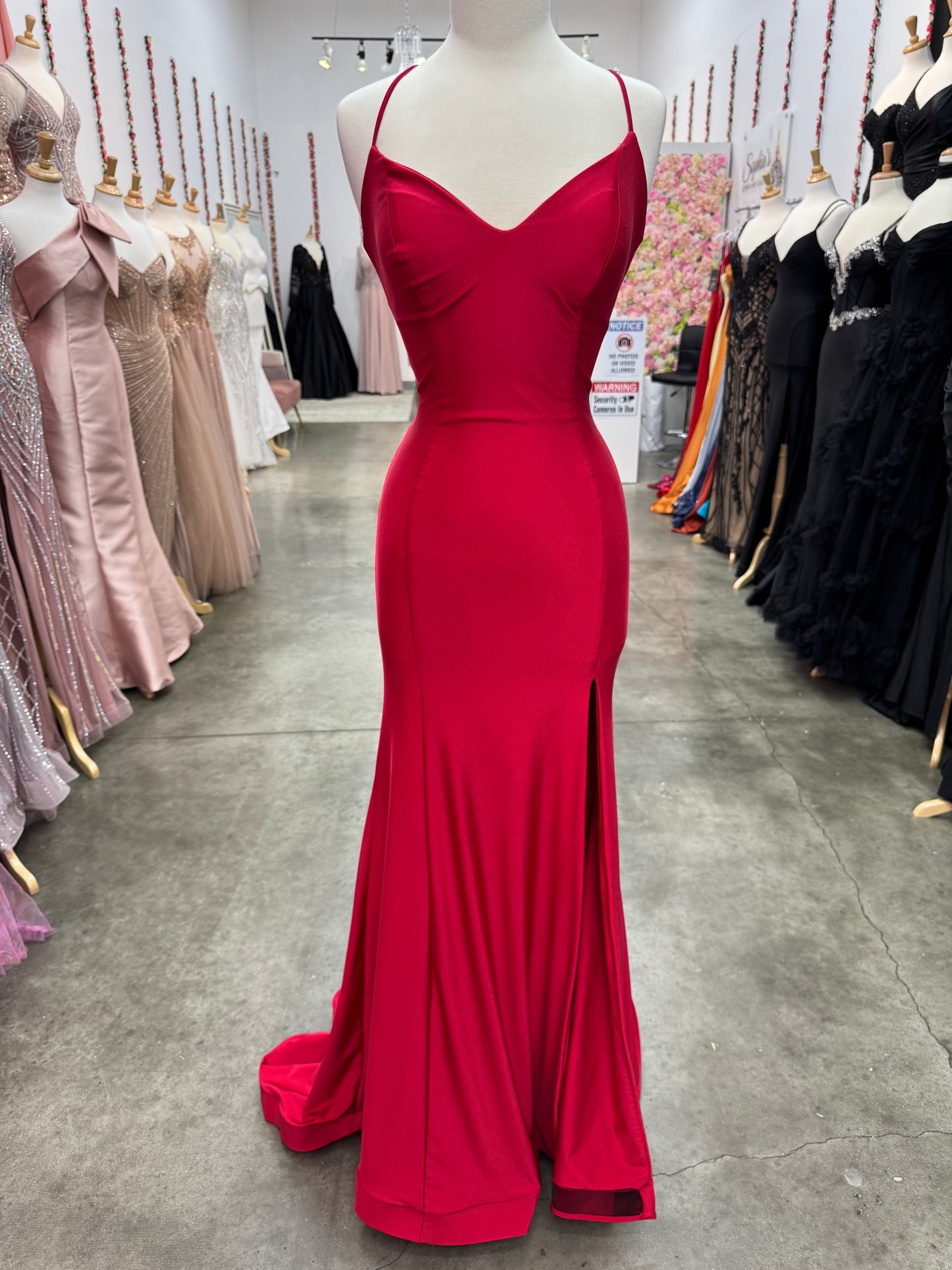 Atria Cherry Red Dress