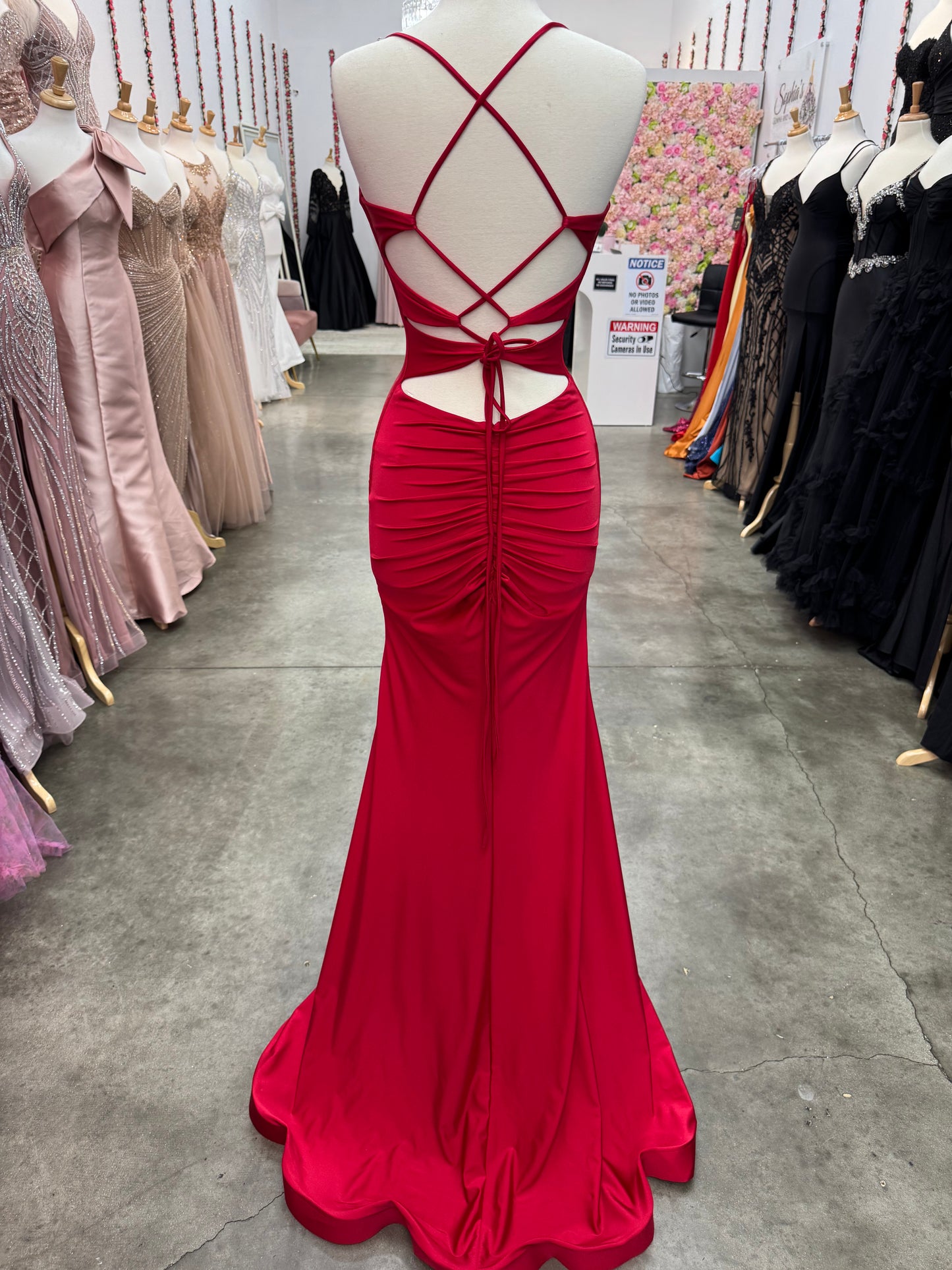 Atria Cherry Red Dress