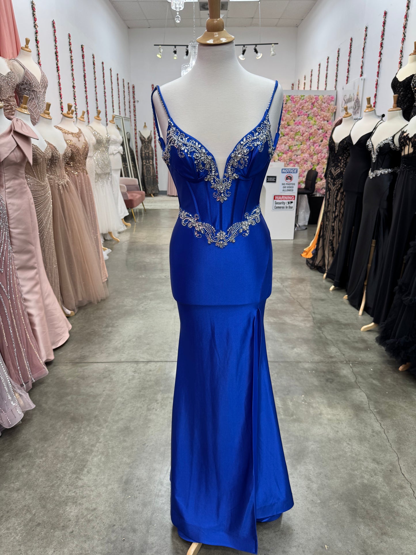 Alexa Dress