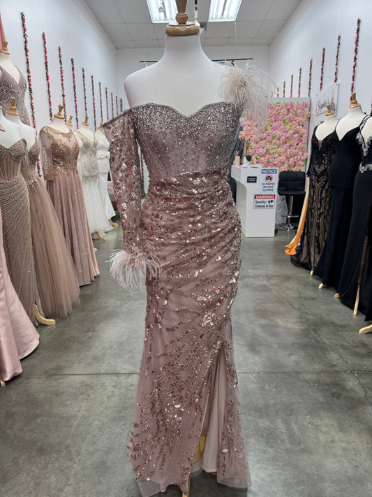 Rose Gold One Shoulder Gown with Feathers